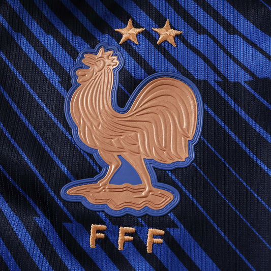 France home 2026 FIFA World Cup