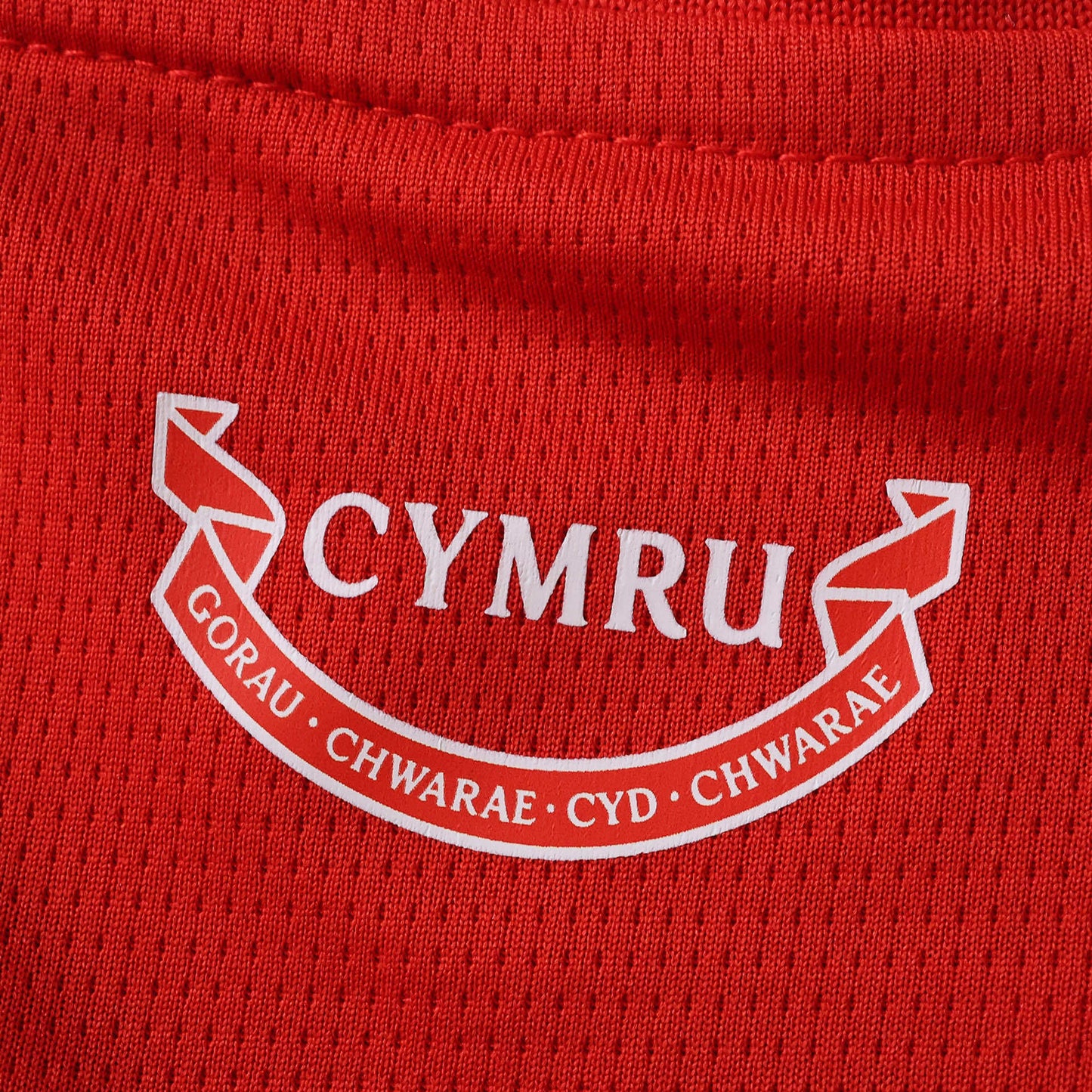 Wales home 2026 FIFA World Cup