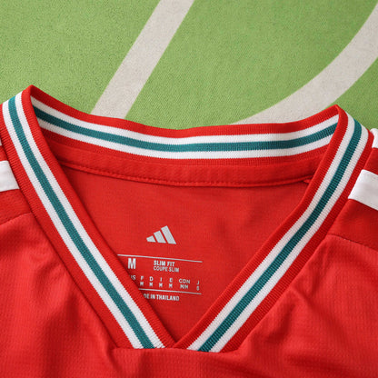 Wales home 2026 FIFA World Cup