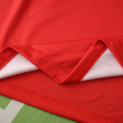 Wales home 2026 FIFA World Cup