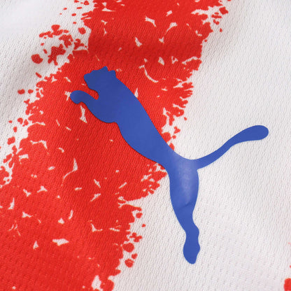 Paraguay home 2026 FIFA World Cup