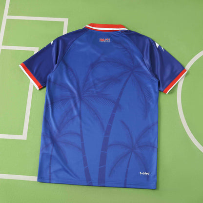Haiti home 2026 FIFA World Cup