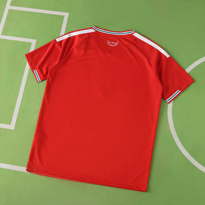 Wales home 2026 FIFA World Cup