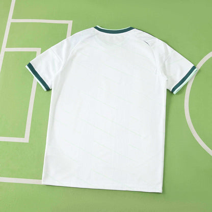 Nothern Ireland 2026 FIFA World Cup