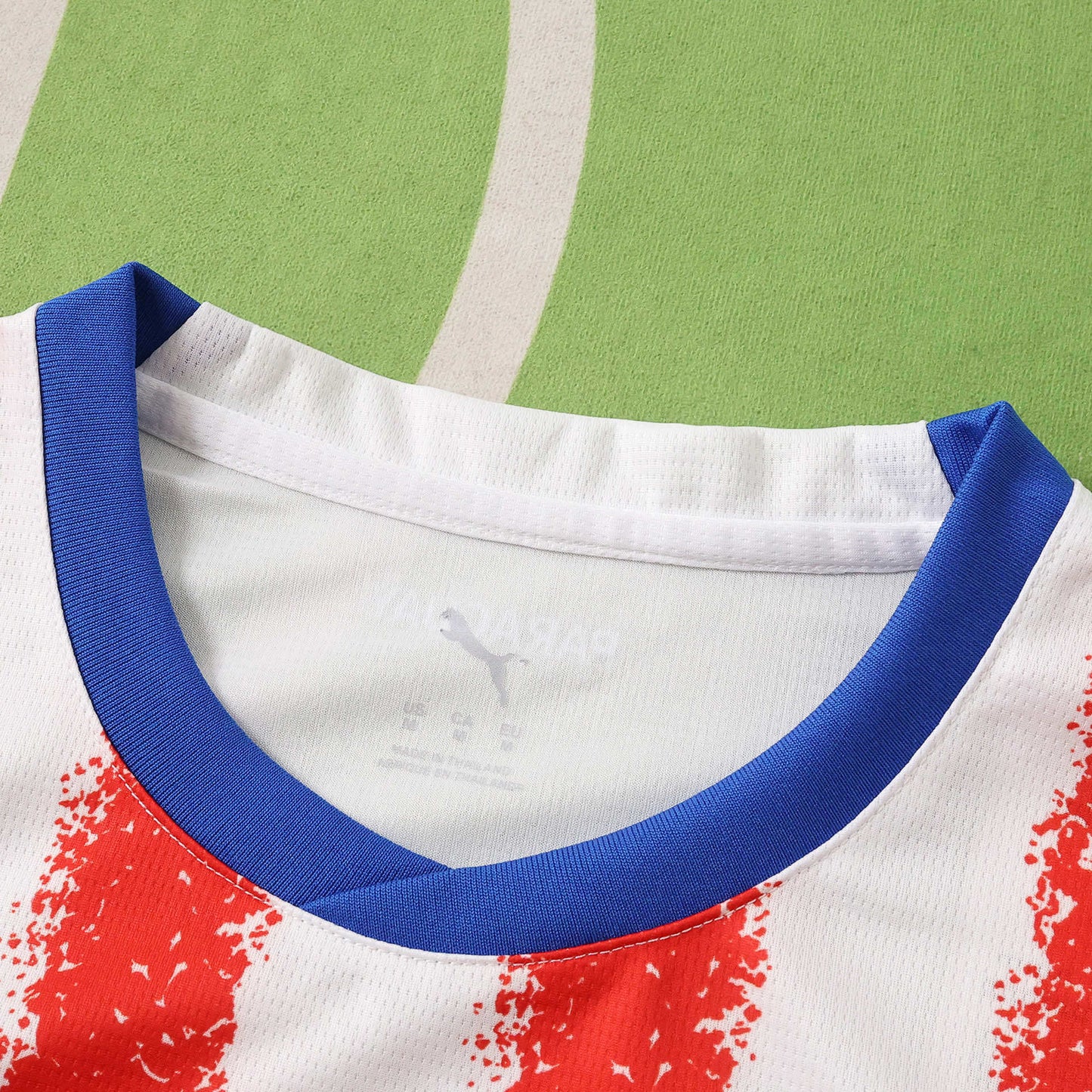 Paraguay home 2026 FIFA World Cup