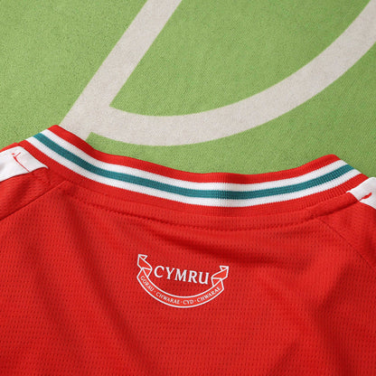 Wales home 2026 FIFA World Cup