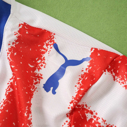 Paraguay home 2026 FIFA World Cup